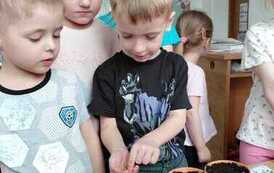IMG-20260326-WA0022
