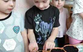 IMG-20260326-WA0020