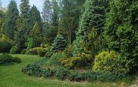 image000000-2