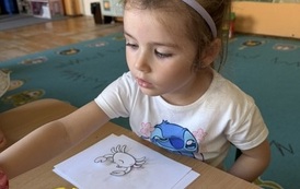 IMG_9807.JPEG